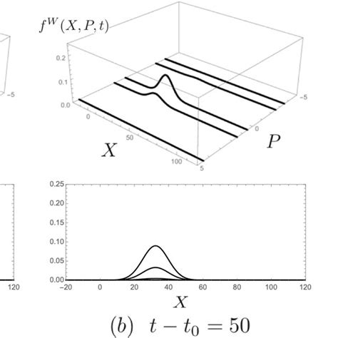 Cross Sections Of The Wigner Distribution Function For The Exciton