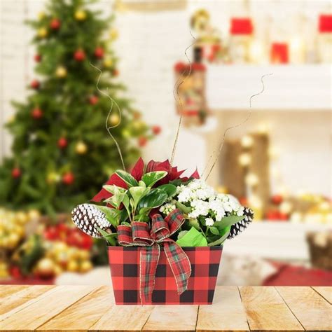 Christmas Flower Basket Floral T Basket Usa Delivery