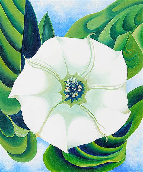 Jimson Weed - Georgia O'Keeffe - WikiArt.org - encyclopedia of visual arts