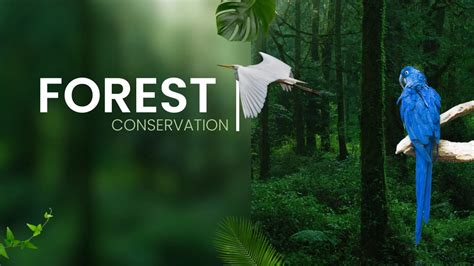 Forest Conservation Amendment Act