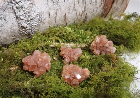 Aragonite Petite Lithothérapie Calliste Herboristerie