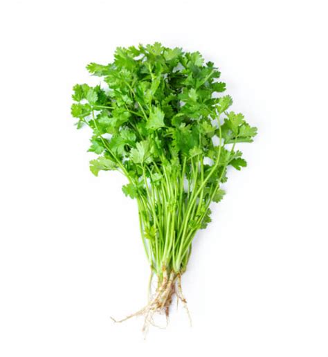 Coriander Leaves - கொத்தமல்லி தழை - Nagercoil Shopping App ...