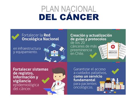 Plan Nacional Del C Ncer The Best Porn Website