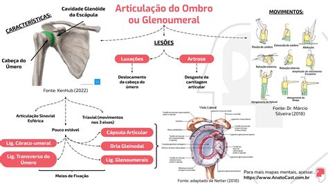 Mapa Mental Articulação Glenoumeral AnatoCast