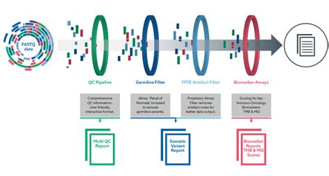 Whole Exome Sequencing Wes Service Almac