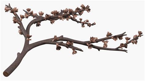 3D Bare Tree Naked Branch TurboSquid 1627696