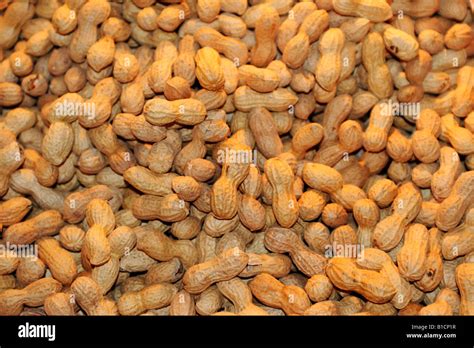 Ground Nut Peanut Arachis Hypogaea Peanuts Stock Photo Alamy