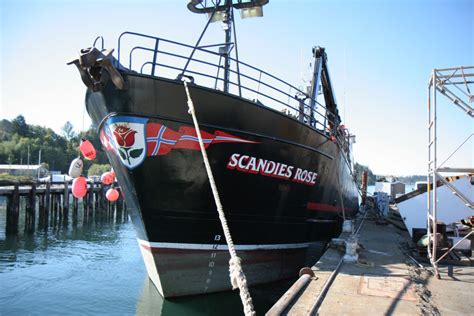 Fv Scandies Rose Sinks In Gulf Of Alaska — Seattle Maritime Injury