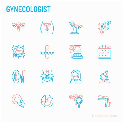 Pelvic Exam Icon Illustrations Royalty Free Vector Graphics And Clip Art