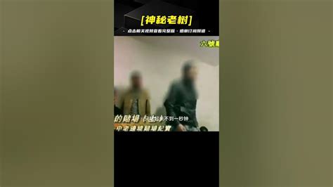 老撾賭場殺豬盤的真實寫照，女人受盡凌辱，男人割掉器官做盡苦力 Youtube