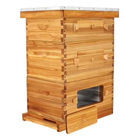 Types Of Beehives Traditional Modern Alternative Natural Urban