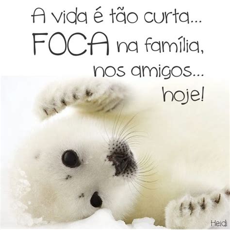 Frase Com A Palavra Foca - Foca, inspiracional | Frases de carinho, Foca, Sábias palavras