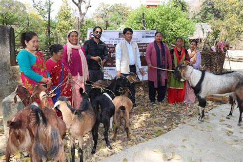 गढवाले सुरु गर्यो खसीबोकाको बजारीकरण कोइलाबासमा ५ लाखभन्दा बढीको