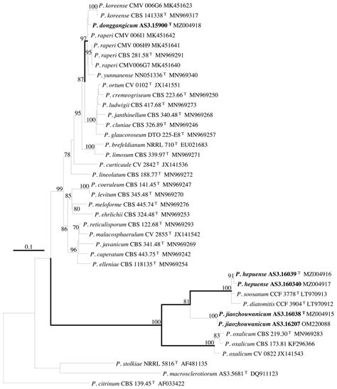 Three New Penicillium Species Isolated From The Tidal Flats Of China