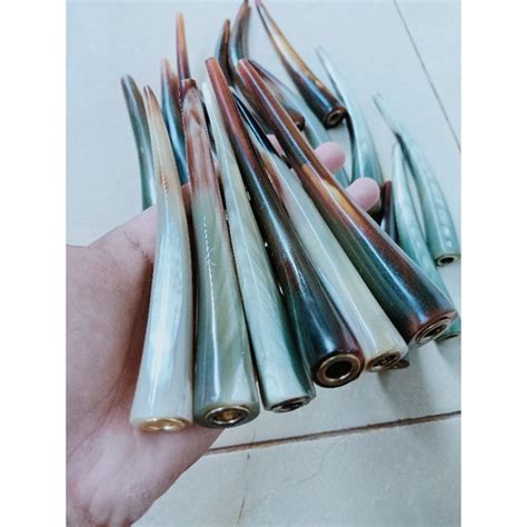 Jual ONCE PIPA TANDUK KERBAU BULE PANJANG SUPER Shopee Indonesia