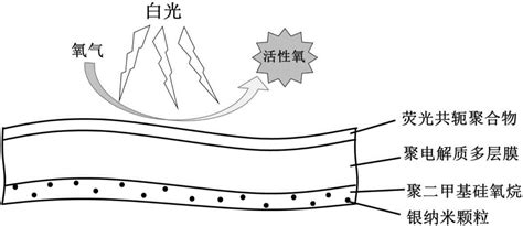 一种具有杀菌功能的柔性复合薄膜的制备及应用方法与流程