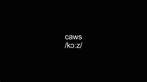 Caws Video Dictionary Meaning And Pronunciation Youtube