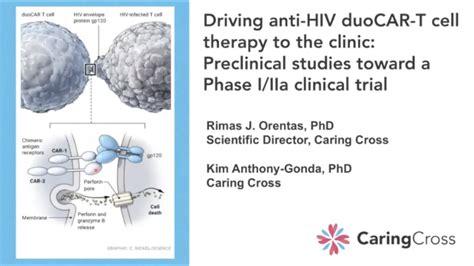 Driving Anti Hiv Duo Car T Cell Therapy To The Clinic Youtube