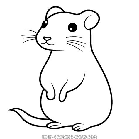 Gerbil easy drawing | Easy Drawing Ideas