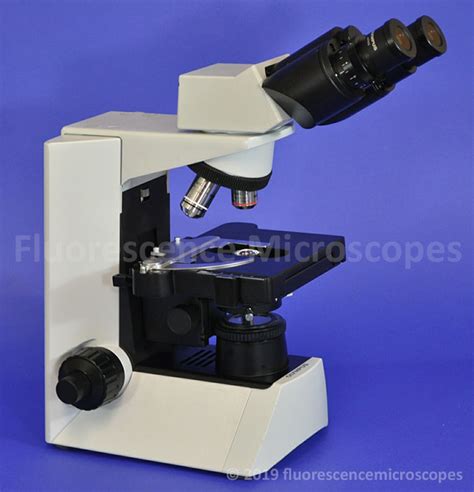 Fluorescence Microscopes Olympus Cx31 Binocular Microscope