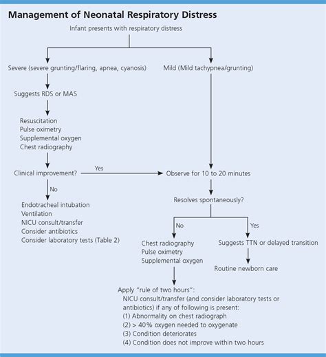 Figure 5 From Respiratory Distress In The Newborn Semantic Scholar