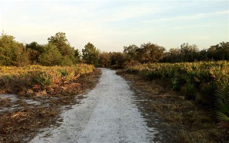 Hiking Trails in Central Florida - Lakeland, Florida - Visit Central ...