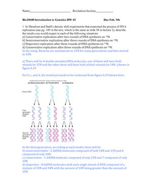 Genetics Assignment February Th Introduction To Human