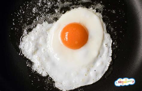 How To Fry An Egg Momables