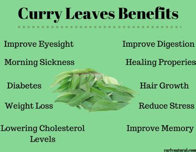 Curry Leaves Benefits For Our Health Early Natural