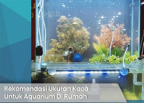 Rekomendasi Ukuran Kaca Untuk Aquarium Di Rumah Elite Art Glass