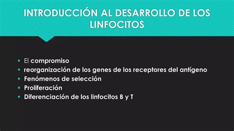 Desarrollo De Linfocitos Ppt