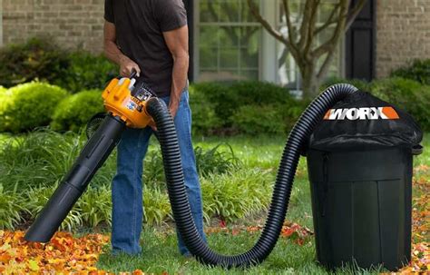 10 Best Leaf Vacuums Of 2022 Garden Wisper