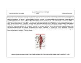 G El Sistema Locomotor Ok Doc