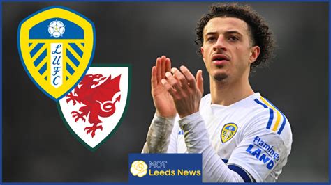 Leeds Star Ethan Ampadu Earns Rave Review Despite Wales Loss