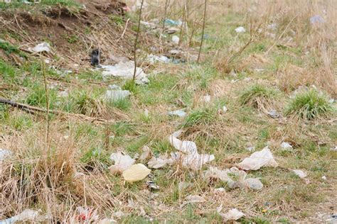 Contaminaci N Ecol Gica De La Naturaleza Bolsa De Pl Stico Enredada En