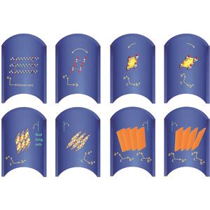 Iucr Hierarchical Structure Of The Triclinic Phase Crystal In