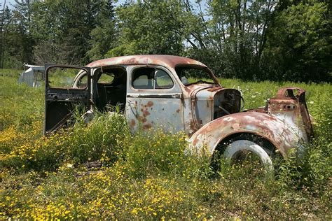 eye candy abandon  jalopy