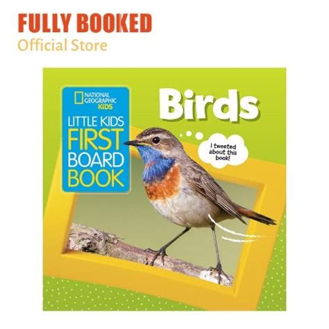 Little Kids First Board Book Birds Board Book Lazada Ph