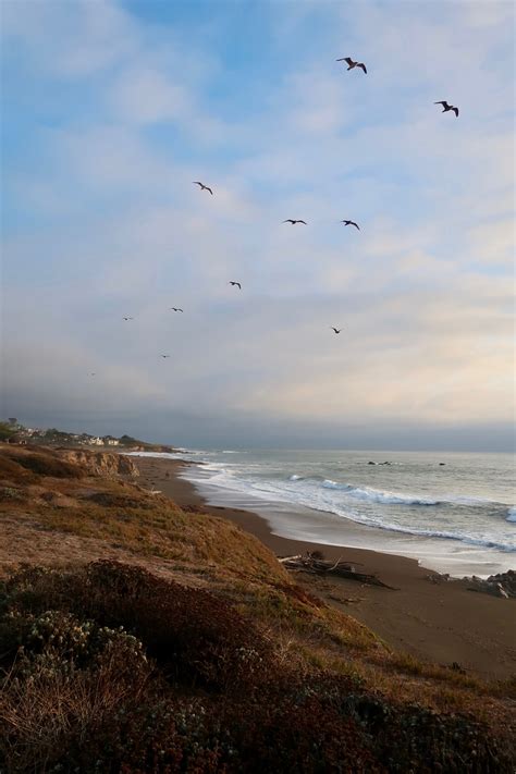 Cambria beach walk – TASTY TRAVEL TITBITS