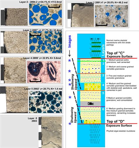 The Role Of Moldic Porosity In Paleozoic Kansas Reservoirs And The