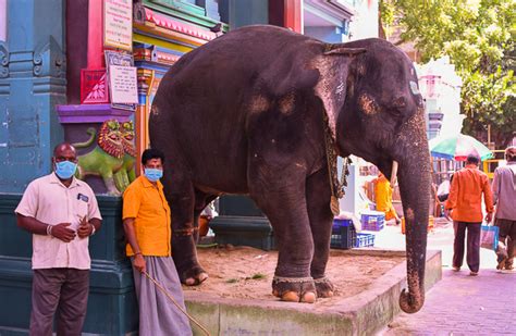 Manakula Vinayagar Temple in Pondicherry - Pondicherryin