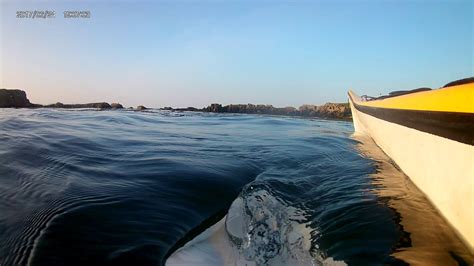 Kayaking With Playful Seals Dalkey Island Youtube