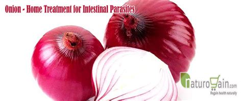 9 Best Home Remedies for Intestinal Parasites that Work [Naturally]