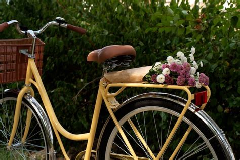 Натюрморт с велосипедной корзиной | Бесплатно Фото