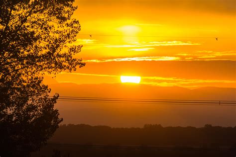 warm sunset with clouds tree and power lines 19639450 Stock Photo at ...