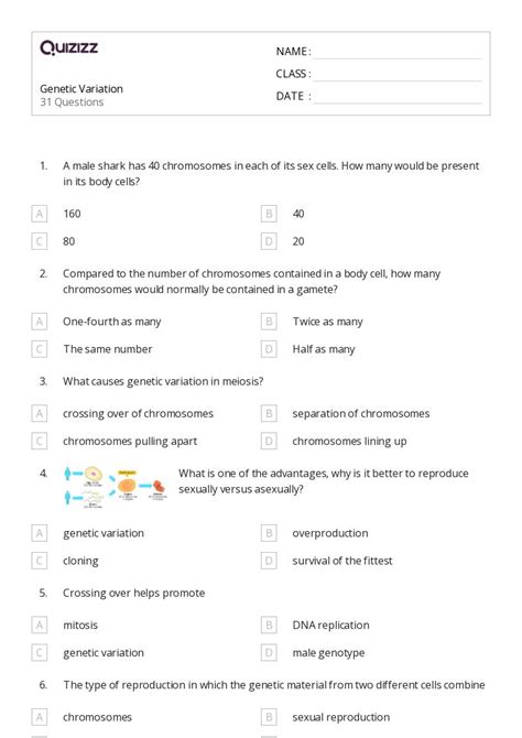 Genetic Variation Worksheet