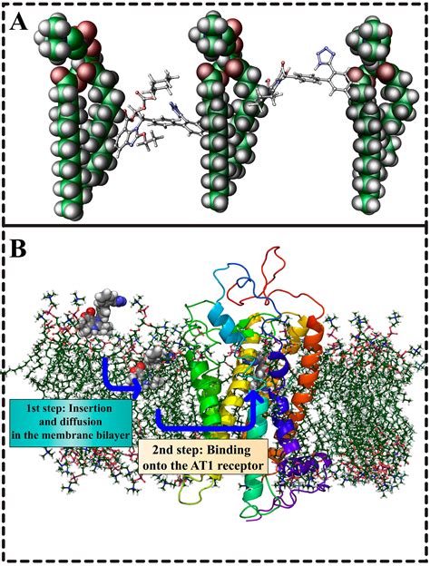 Molecules Free Full Text Rational Drug Design And Synthesis Of