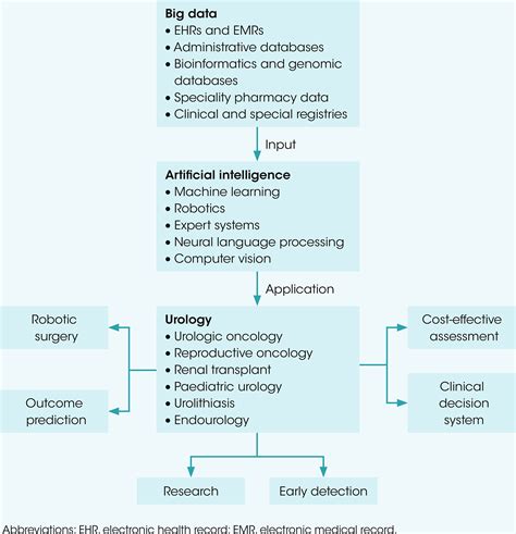 The Digital Future Of Mens Health Ringrose 2022 Trends In