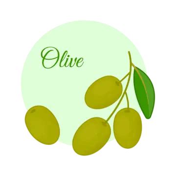 Olive Vector Illustration Olive Olive Fruit Cute Olives Png And