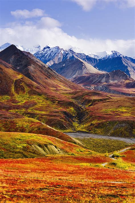 Fall Colours And Alaska Range Denali Photograph By Yves Marcoux Fine